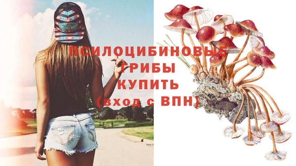 альфа пвп Нефтегорск