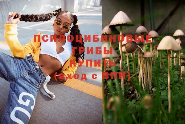 гидра Весьегонск