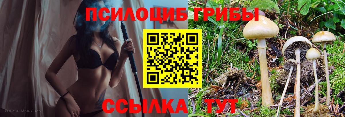 Псилоцибиновые грибы мицелий  Вход с VPN  даркнет сайт  Коркино 