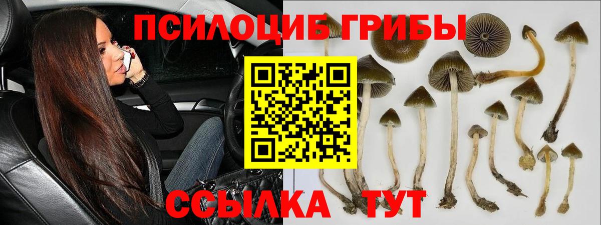 Псилоцибиновые грибы MAGIC MUSHROOMS Коркино